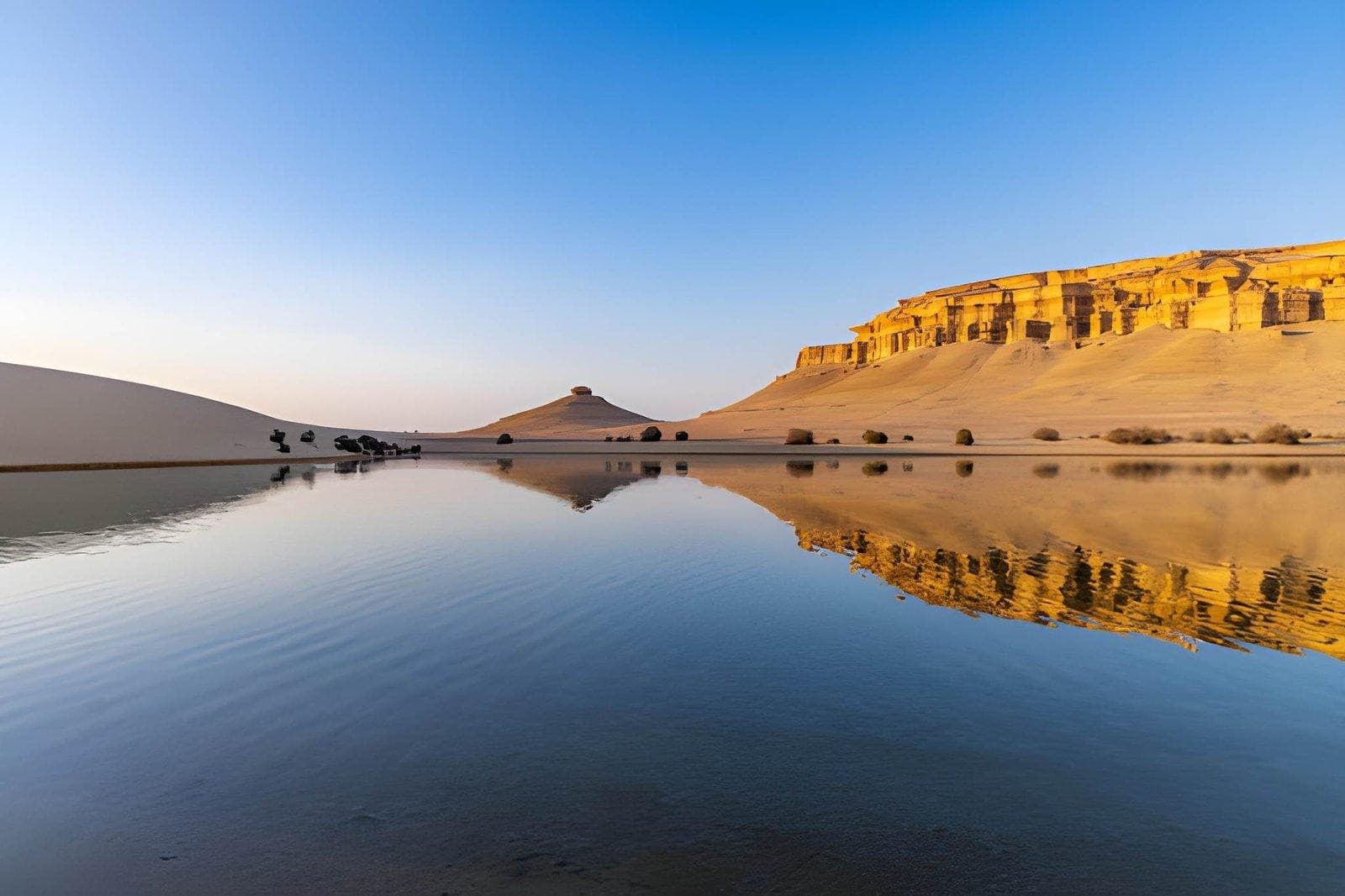 Cairo: Fayoum Desert Safari, Wadi al-Hitan & Sandboarding